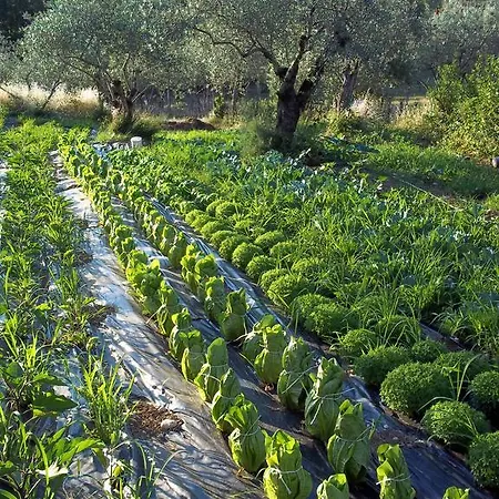 Agriturismo La Torretta * Arpino