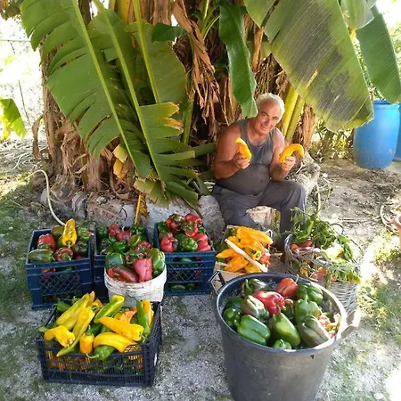 Çiftlik konaklama Agriturismo La Torretta *